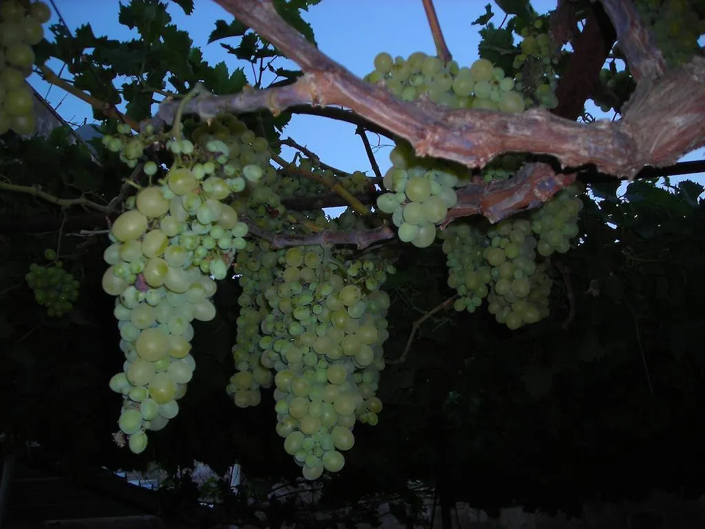 Tenuta Litta - Masseria Lizza Bed & Breakfast Lecce Italy