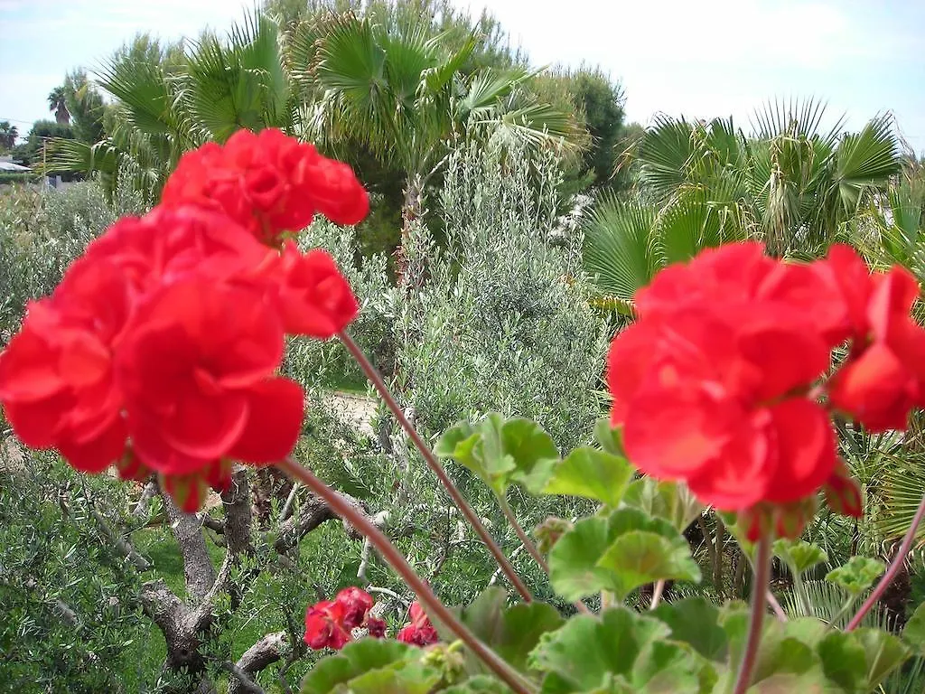 Tenuta Litta - Masseria Lizza Bed & Breakfast Lecce