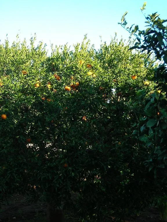 Tenuta Litta - Masseria Lizza Bed & Breakfast Lecce Italy
