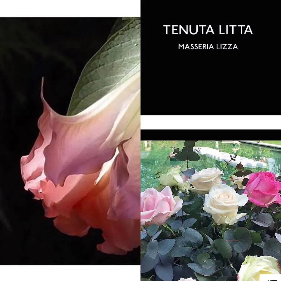 Tenuta Litta - Masseria Lizza Bed & Breakfast Lecce Italy